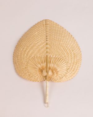 Abanico Jalapa