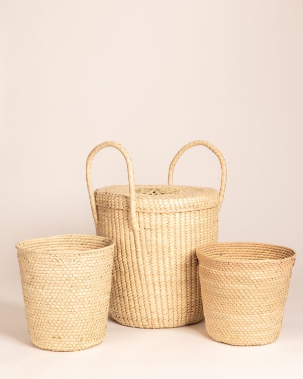 Kit canastos palma blanca